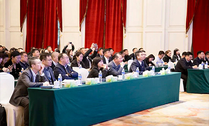 亿万先生mr集团党委“书记带项目”工作阶段性进展汇报会成功召开