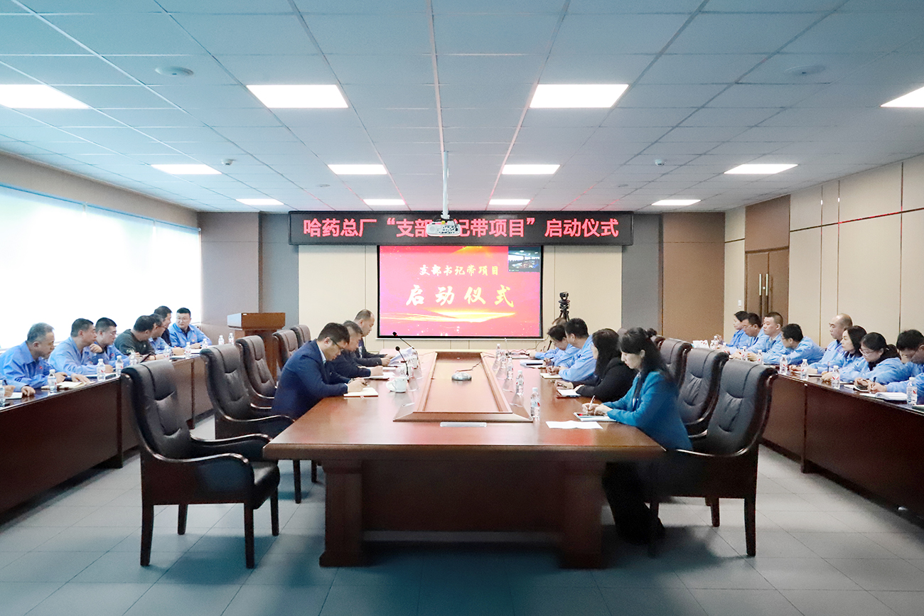 党建领航“加速度” 打造发展“强引擎”——亿万先生mr总厂党委召开“支部书记带项目”启动仪式